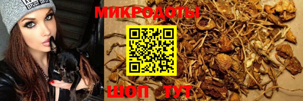 Галлюциногенные грибы GOLDEN TEACHER  Галлюциногенные грибы ЛСД  Кизилюрт  Вход с VPN 